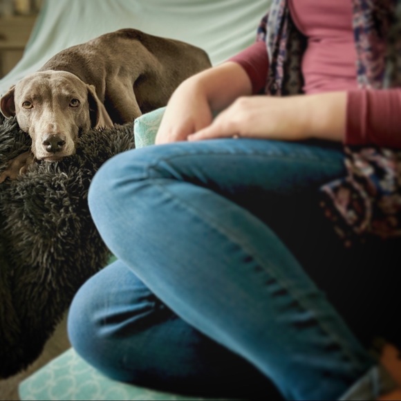 Bookmark this listing so you can find my closet! - Picture 1 of 4